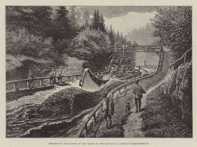 De Rapids van de Traun afdalen in de Zoutboot, Oostenrijkse Salzkammergut door Johann Nepomuk Schonberg